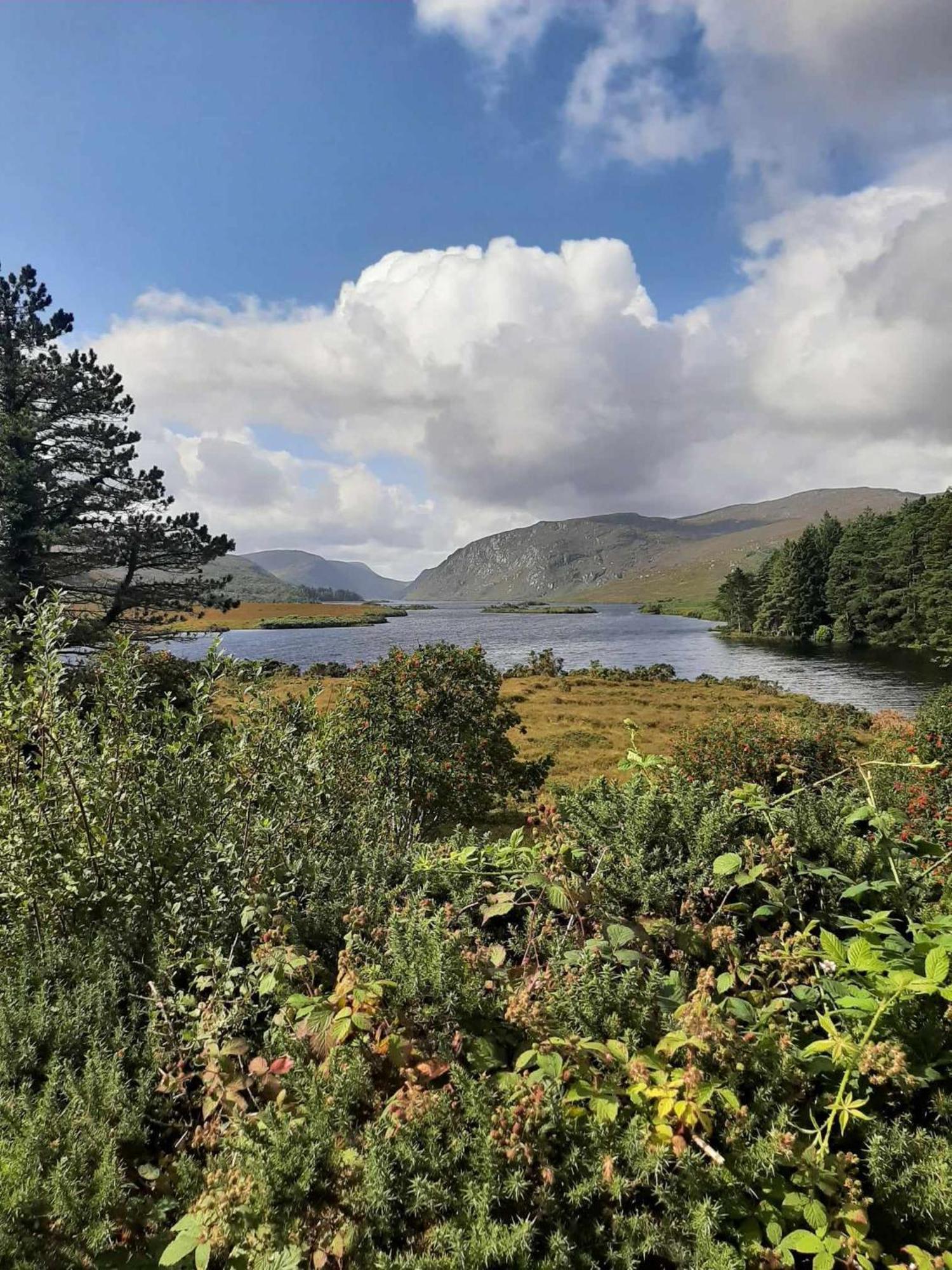 Ivy Lodge Letterkenny Eksteriør billede