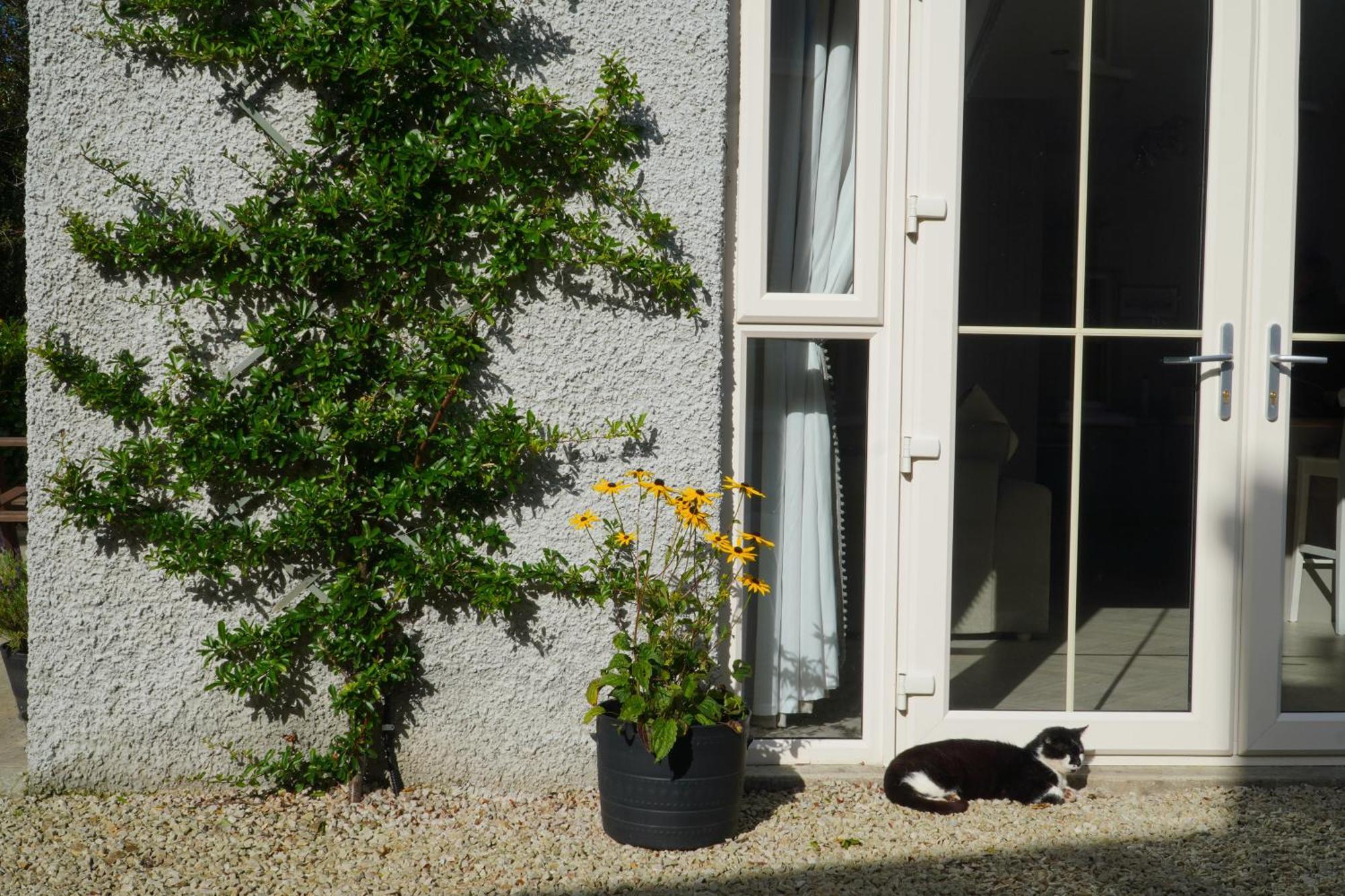 Ivy Lodge Letterkenny Eksteriør billede